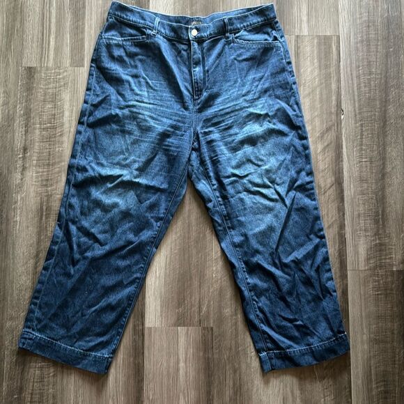 Size 16 Ann Taylor Factory Jeans - Picture 1 of 4